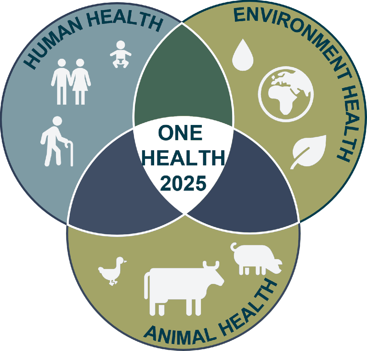 One Health & Klimakrise | Klima-assoziierte Effekte auf Gesundheit von Mensch, Tier und Umwelt