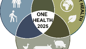 One Health & Klimakrise | Klima-assoziierte Effekte auf Gesundheit von Mensch, Tier und Umwelt