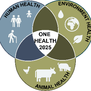 One Health & Klimakrise | Klima-assoziierte Effekte auf Gesundheit von Mensch, Tier und Umwelt